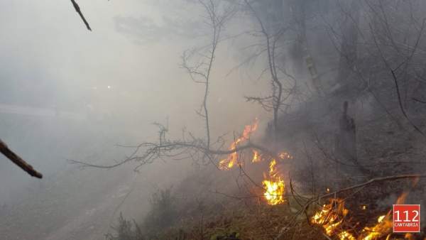 Incendios forestales Incendios forestales