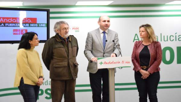 El PSOE insta a la Junta a reactivar el proyecto del auditorio El PSOE insta a la Junta a reactivar el proyecto del auditorio