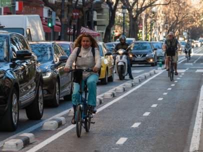 Carril bici de Reino de València