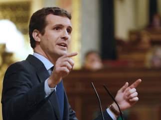 Pablo Casado, en el Congreso.