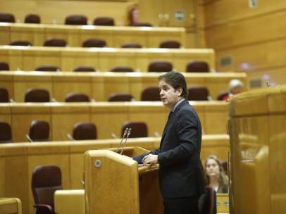 Roberto Bermúdez De Castro Comparece En El Senado Por El Artículo 155
