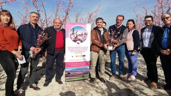 Las ramas de frutales de hueso se transforman en elementos ornamentales, un pro Las ramas de frutales de hueso se transforman en elementos ornamentales, un pro