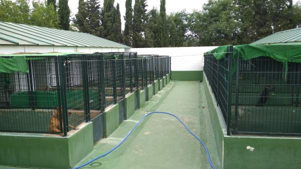 Centro zoosanitario de Mérida. Perrera, perros abandonados en Mérida Centro zoosanitario de Mérida. Perrera, perros abandonados en Mérida