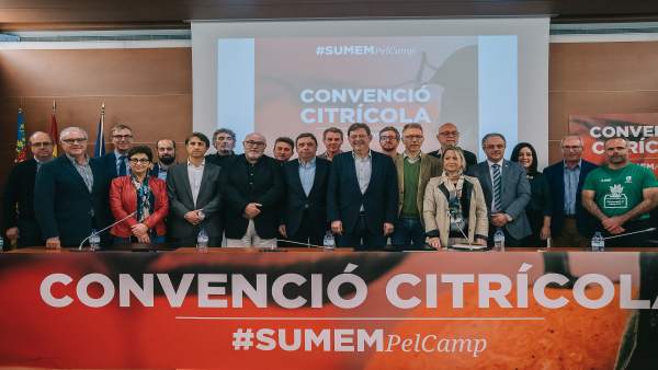 Planas insta al sector citrícola a pasar 'a una postura ofensiva' para 'seguir s Planas insta al sector citrícola a pasar 'a una postura ofensiva' para 'seguir s
