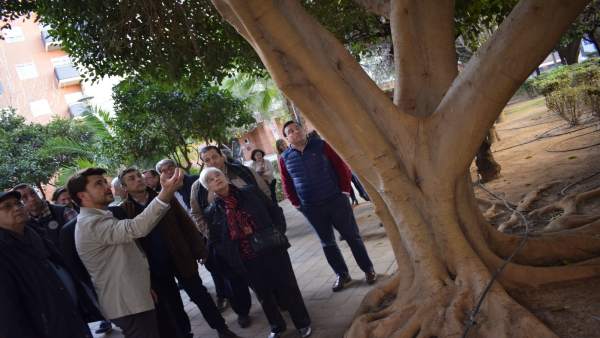 Sevilla.- Beltrán Pérez acusa al PSOE de 'tirar la toalla' con las zonas verdes Sevilla.- Beltrán Pérez acusa al PSOE de 'tirar la toalla' con las zonas verdes
