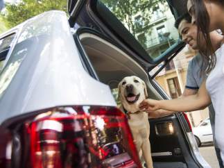 Cinco consejos para viajar con perros en el coche (y sin peligro)