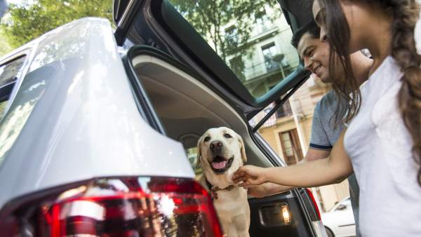 Cinco consejos para viajar con perros en el coche (y sin peligro) Cinco consejos para viajar con perros en el coche (y sin peligro)