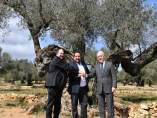 Las Diputaciones de Teruel, Castellón y Tarragona reciben un reconocimiento por