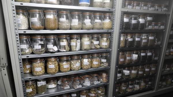 El CITA explica en Tarazona sus investigaciones del almendro y otras variedades El CITA explica en Tarazona sus investigaciones del almendro y otras variedades