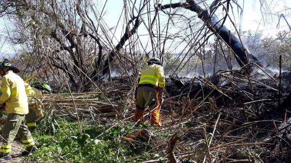 Málaga.- Sucesos.- Estabilizado un incendio en el paraje Río Grande de Cártama Málaga.- Sucesos.- Estabilizado un incendio en el paraje Río Grande de Cártama