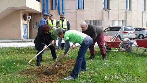 Málaga.- Plantarán este lunes un almendro en recuerdo de las víctimas del desast Málaga.- Plantarán este lunes un almendro en recuerdo de las víctimas del desast