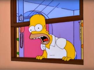 Homer Simpson