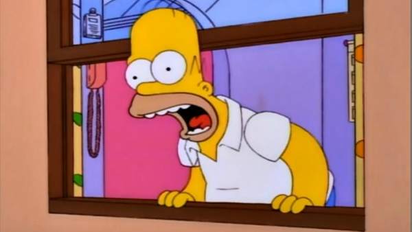 Homer Simpson Homer Simpson