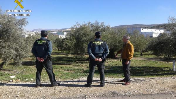 Operativos realizados por la Guardia Civil en la campaña de aceituna Operativos realizados por la Guardia Civil en la campaña de aceituna