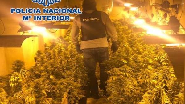 Granada.- Sucesos.- Cuatro detenidos y cuatro plantaciones desmanteladas en una Granada.- Sucesos.- Cuatro detenidos y cuatro plantaciones desmanteladas en una