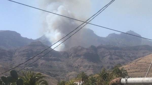 Sucesos.- Declarado un incendio en un palmeral de Fataga (Gran Canaria) Sucesos.- Declarado un incendio en un palmeral de Fataga (Gran Canaria)
