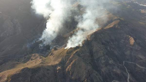 AMP.- Sucesos.- Declarado un incendio en un palmeral de Fataga (Gran Canaria) AMP.- Sucesos.- Declarado un incendio en un palmeral de Fataga (Gran Canaria)