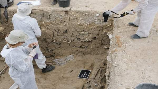 Trabajos en el Cementerio de San José de Cádiz Trabajos en el Cementerio de San José de Cádiz