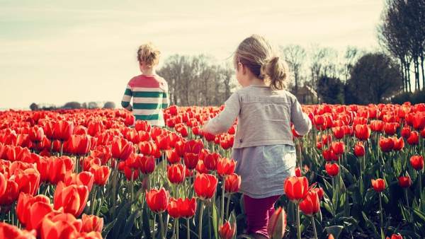 Cinco destinos que solo puedes disfrutar en primavera Cinco destinos que solo puedes disfrutar en primavera