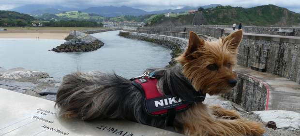 Cinco destinos ‘petfriendly’ para viajar por España en Semana Santa