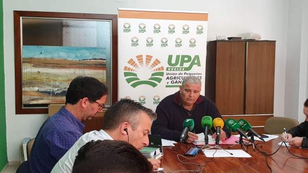 Huelva.- UPA destaca la 'calidad excepcional' de la producción actual de la camp Huelva.- UPA destaca la 'calidad excepcional' de la producción actual de la camp