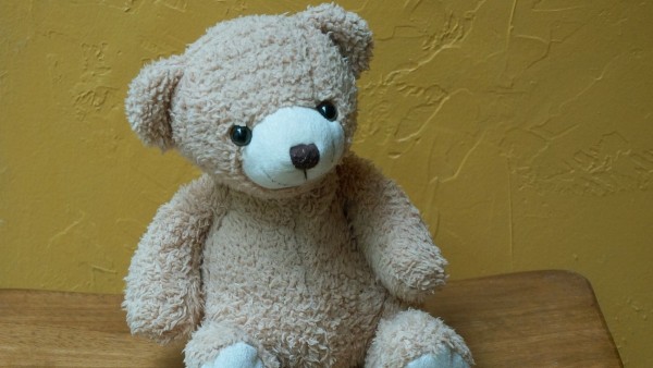 Osito de peluche Osito de peluche