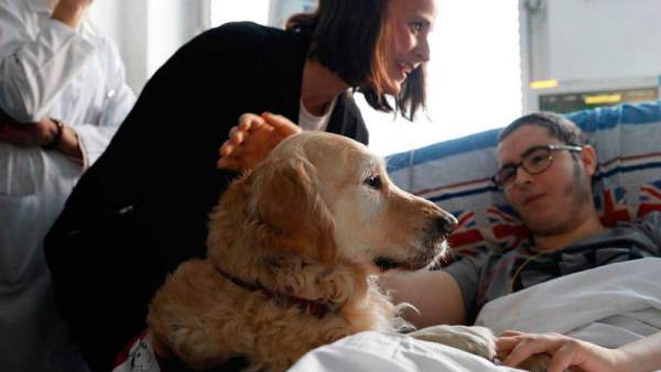 Un perro para la UCI pediátrica de un hospital Un perro para la UCI pediátrica de un hospital