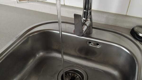 Grifo en un hogar de Cáceres Grifo en un hogar de Cáceres