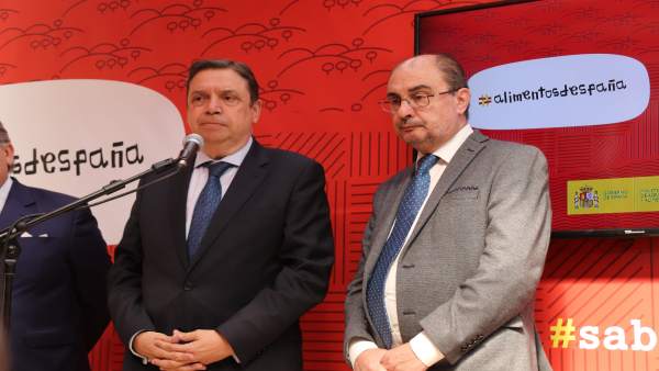 Lambán califica de 'desmanes' y 'torpezas' las acciones de los independentistas Lambán califica de 'desmanes' y 'torpezas' las acciones de los independentistas