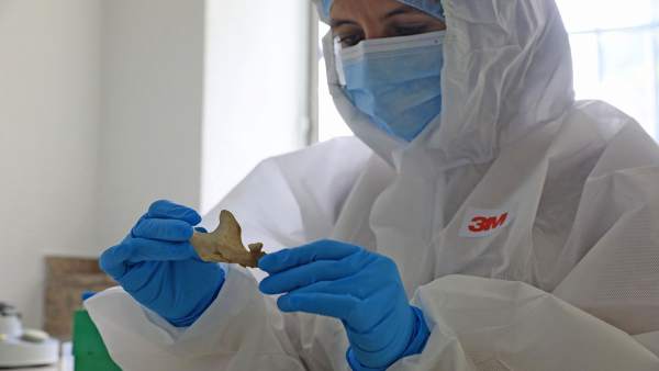 El ADN demuestra que existe más de un linaje genético autóctono de Canarias El ADN demuestra que existe más de un linaje genético autóctono de Canarias