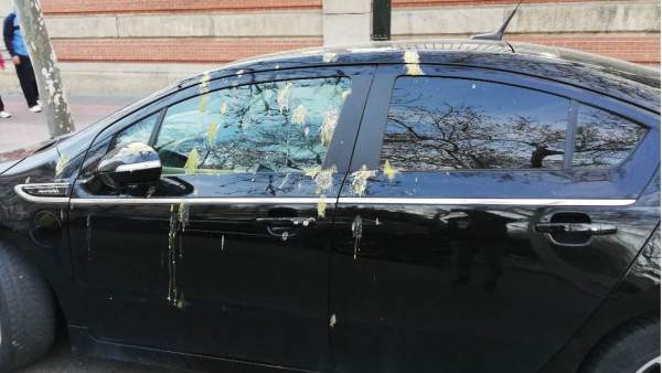 Excrementos de pájaros, resina… Cómo luchar contra las manchas más difíciles del coche Excrementos de pájaros, resina… Cómo luchar contra las manchas más difíciles del coche