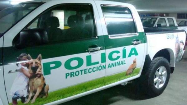 Actúa exige a Cort la retirada de la declaración simbólica 'Palma, ciudad amiga Actúa exige a Cort la retirada de la declaración simbólica 'Palma, ciudad amiga
