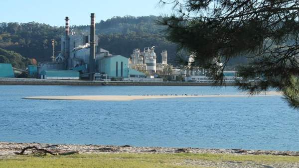 El comité de Ence pide que 'si alguien tiene una ubicación que cumpla las condic El comité de Ence pide que 'si alguien tiene una ubicación que cumpla las condic