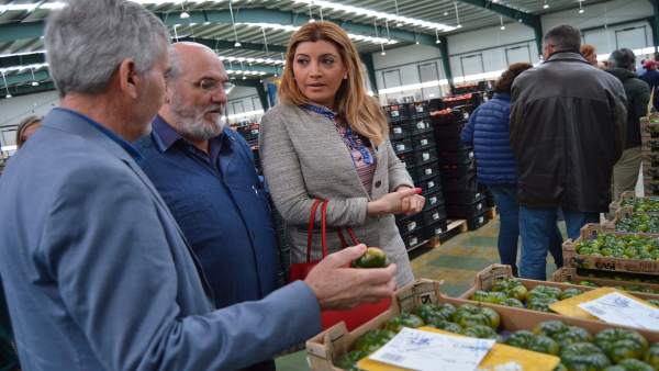 Almería.- La Academia Andaluza de Gastronomía y Turismo conoce el 'modelo agríco Almería.- La Academia Andaluza de Gastronomía y Turismo conoce el 'modelo agríco