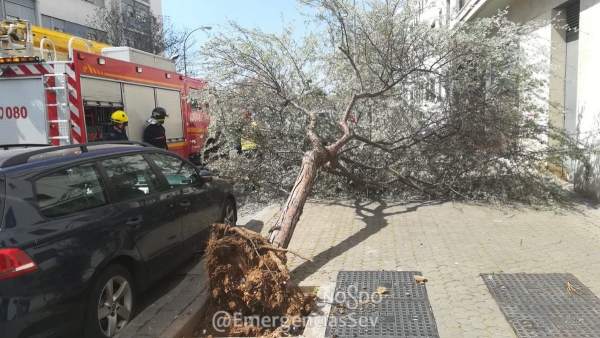 Sevilla.- La ciudad registra más de 20 incidencias sin heridos este sábado por f Sevilla.- La ciudad registra más de 20 incidencias sin heridos este sábado por f
