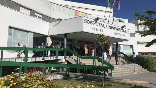 Herida una mujer al ser atacada por un perro de raza peligrosa en en Gerena (Sev Herida una mujer al ser atacada por un perro de raza peligrosa en en Gerena (Sev