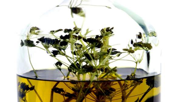Más de 2 millones de litros de Gin de Maó, 'Herbes' y Palo se comercializaron po Más de 2 millones de litros de Gin de Maó, 'Herbes' y Palo se comercializaron po
