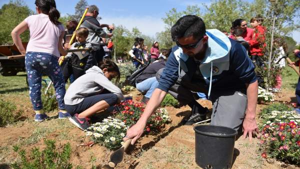Sevilla.- El Parque Amate acoge la plantación de más de cien árboles, arbustos y Sevilla.- El Parque Amate acoge la plantación de más de cien árboles, arbustos y