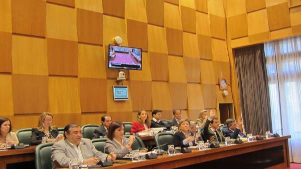 Zaragoza.- Pleno.- El Ayuntamiento elaborará una auditoría sobre el origen de la Zaragoza.- Pleno.- El Ayuntamiento elaborará una auditoría sobre el origen de la