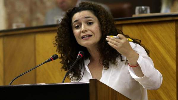 Cádiz.- Adelante pide a la Junta que actúe ante 'la situación de desprotección' Cádiz.- Adelante pide a la Junta que actúe ante 'la situación de desprotección'