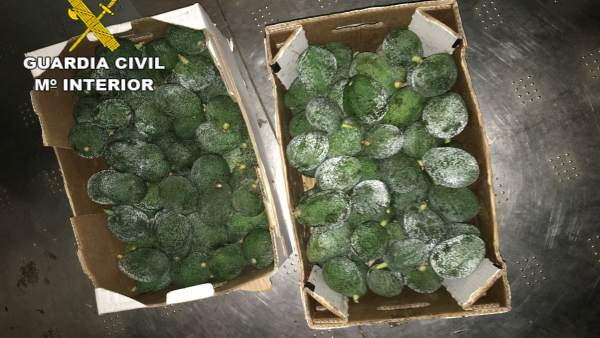 Sucesos.- Detienen a 7 personas por el robo de aguacates en Gran Canaria Sucesos.- Detienen a 7 personas por el robo de aguacates en Gran Canaria