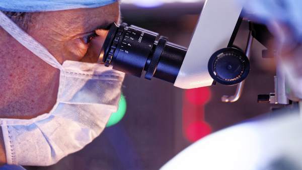 Investigador, microscopio Investigador, microscopio