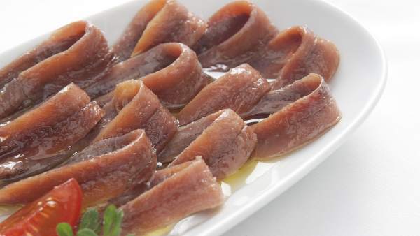 Anchoa Anchoa