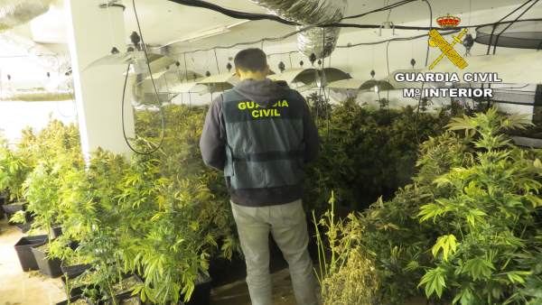 Almería.- Sucesos.- Detienen a una persona acusada de tener 425 plantas de marih Almería.- Sucesos.- Detienen a una persona acusada de tener 425 plantas de marih