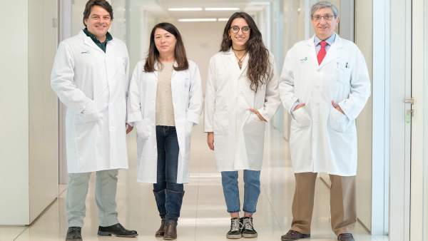 Un compuesto patentado por Parapléjicos y el CSIC promueve la recuperación funci Un compuesto patentado por Parapléjicos y el CSIC promueve la recuperación funci