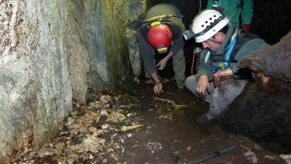 Exhumados los restos de dos posibles presos de la fuga de Ezkaba en la sima de A Exhumados los restos de dos posibles presos de la fuga de Ezkaba en la sima de A