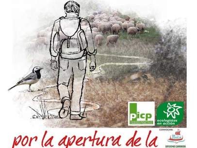 Un millar de ovejas merinas trashumantes pasarán el domingo por Galapagar y Colm