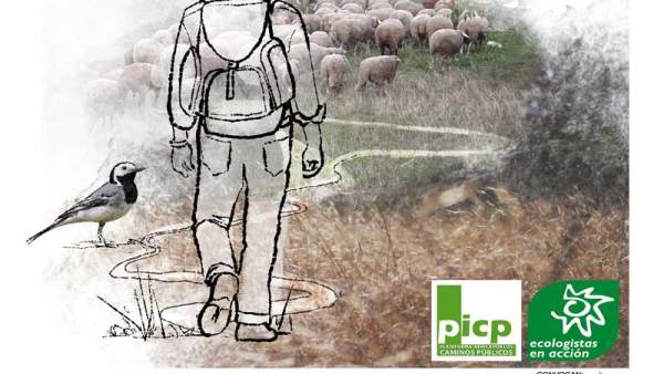 Un millar de ovejas merinas trashumantes pasarán el domingo por Galapagar y Colm Un millar de ovejas merinas trashumantes pasarán el domingo por Galapagar y Colm