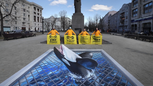 Greenpeace Greenpeace