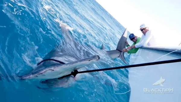El Golfista Greg Norman Pesca Al Mayor Tiburon Martillo